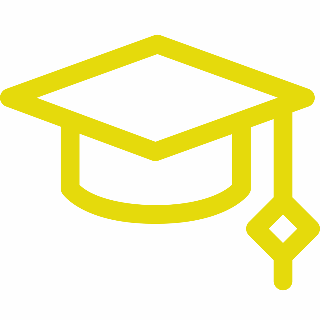 Maturidade Financeira e Desenvolvimento Cognitivo no Professor Dindin